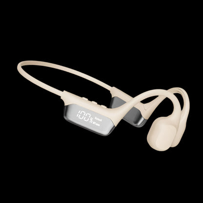 Truevistas CoreSound™ Earphones